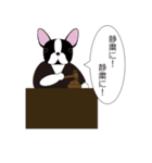 Animal  Legal（個別スタンプ：27）