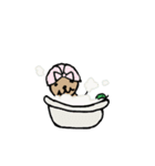 ちゃんけんスタンプ（個別スタンプ：24）