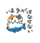 お弁当ねこ（まぐろ）みけ（個別スタンプ：21）