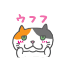 お弁当ねこ（まぐろ）みけ（個別スタンプ：40）