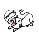 Easy cat（個別スタンプ：20）