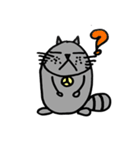 Easy cat（個別スタンプ：25）