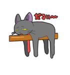 おしゃれ猫ノアくん（個別スタンプ：12）