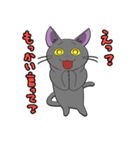 おしゃれ猫ノアくん（個別スタンプ：14）