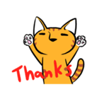 Everyday Tabby（個別スタンプ：1）