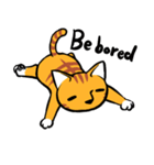 Everyday Tabby（個別スタンプ：5）