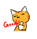 Everyday Tabby（個別スタンプ：11）