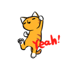 Everyday Tabby（個別スタンプ：20）