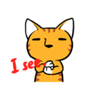 Everyday Tabby（個別スタンプ：22）
