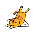 Everyday Tabby（個別スタンプ：23）