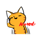 Everyday Tabby（個別スタンプ：24）