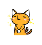 Everyday Tabby（個別スタンプ：30）
