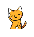 Everyday Tabby（個別スタンプ：37）
