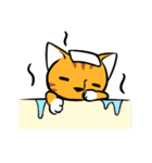 Everyday Tabby（個別スタンプ：39）