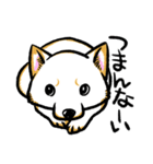 柴犬スタンプ3～白柴～（個別スタンプ：24）