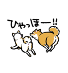 柴犬スタンプ3～白柴～（個別スタンプ：36）