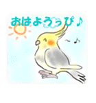 オカメインコの、りんごちゃんとお友達♪（個別スタンプ：1）