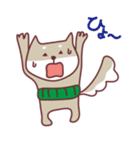 柴犬チロさん（個別スタンプ：2）