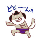 柴犬チロさん（個別スタンプ：4）