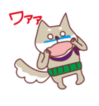 柴犬チロさん（個別スタンプ：6）
