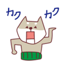 柴犬チロさん（個別スタンプ：17）