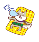 柴犬チロさん（個別スタンプ：21）