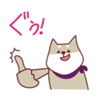 柴犬チロさん（個別スタンプ：28）