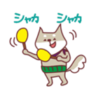 柴犬チロさん（個別スタンプ：29）