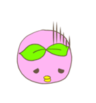 ももぴよ（個別スタンプ：14）