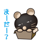 くまネコ（ねこ）のカフィ（日常会話付き）（個別スタンプ：5）