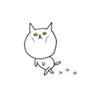 いつもの白にゃんこ（個別スタンプ：1）