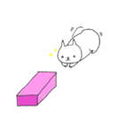 いつもの白にゃんこ（個別スタンプ：13）