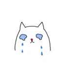 いつもの白にゃんこ（個別スタンプ：29）