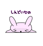 うさたん（個別スタンプ：4）