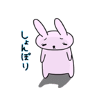 うさたん（個別スタンプ：10）