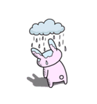 うさたん（個別スタンプ：11）