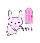 うさたん（個別スタンプ：24）