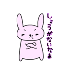 うさたん（個別スタンプ：31）