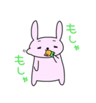 うさたん（個別スタンプ：35）