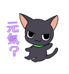 ツンデレねこにゃん（日常編）（個別スタンプ：1）