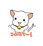 ツンデレねこにゃん（日常編）（個別スタンプ：31）