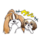 シーズースタンプ2（個別スタンプ：2）