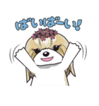 シーズースタンプ2（個別スタンプ：7）