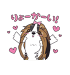 シーズースタンプ2（個別スタンプ：14）