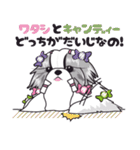 シーズースタンプ2（個別スタンプ：16）