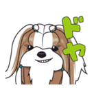 シーズースタンプ2（個別スタンプ：19）