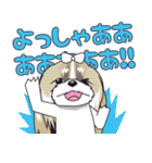シーズースタンプ2（個別スタンプ：21）