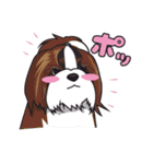 シーズースタンプ2（個別スタンプ：24）
