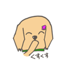 レトリバー犬マリちゃん（個別スタンプ：2）