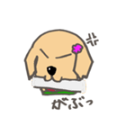 レトリバー犬マリちゃん（個別スタンプ：11）